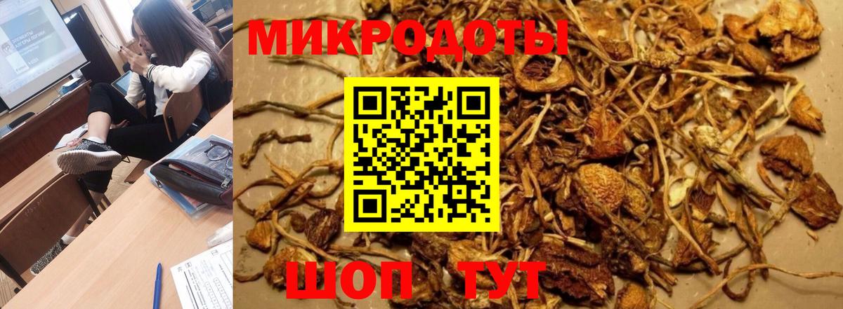 Галлюциногенные грибы GOLDEN TEACHER Ртищево
