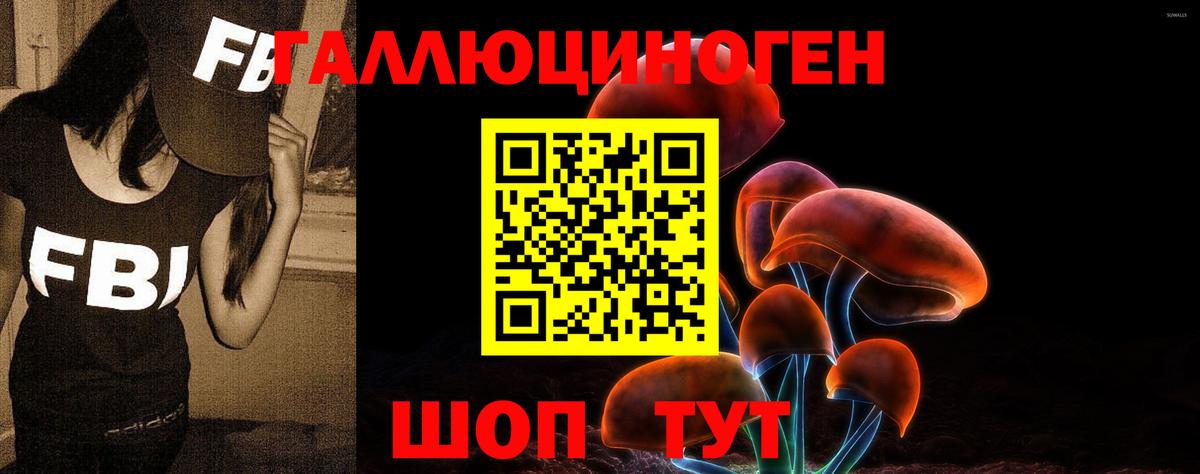 Ртищево  Псилоцибиновые грибы Cubensis  Вход с VPN 